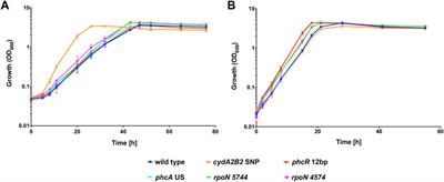 Improving carbon monoxide tolerance of Cupriavidus necator H16 through adaptive laboratory evolution